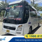 nha-xe-nam-viet-binh-duong-vung-tau