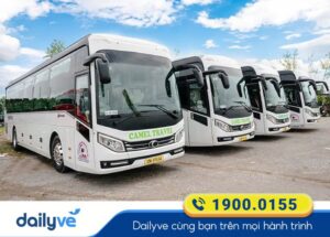 Camel Travel